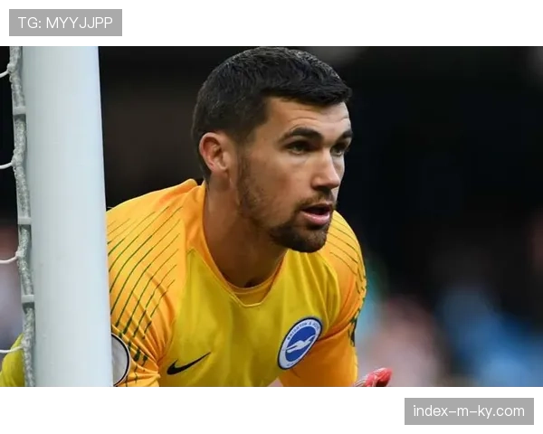 澳大利亚队长马修·瑞恩经验丰富 其门线技术是最后保障